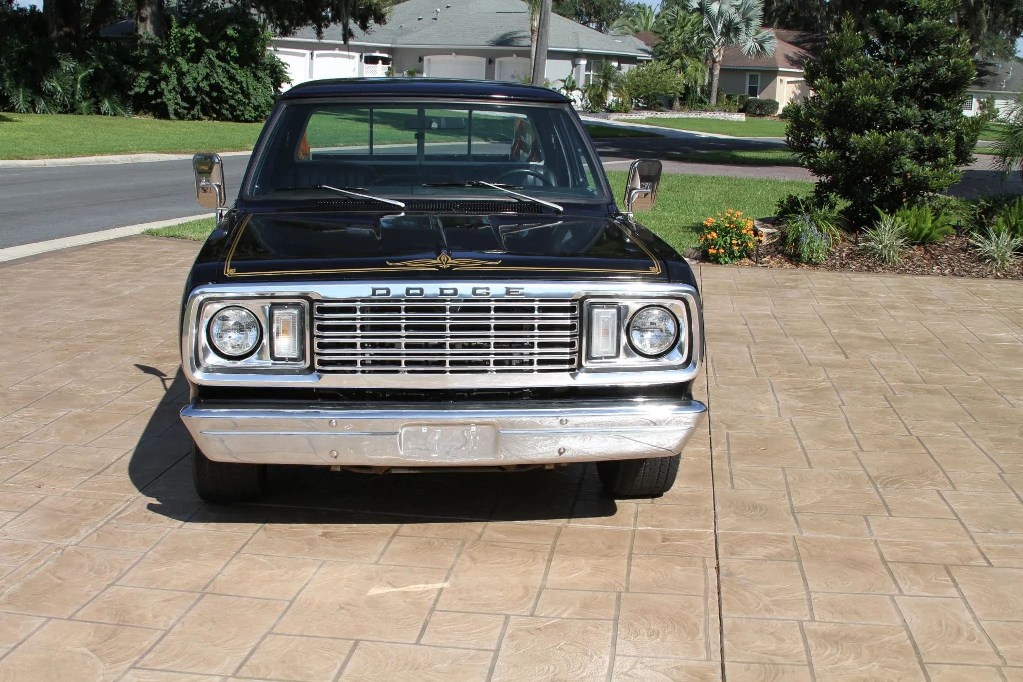 1978 Dodge D150 Warlock, view